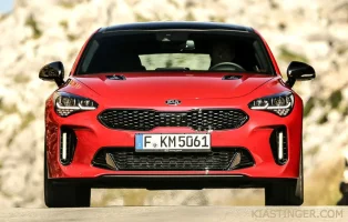 stinger-fog-lights.webp