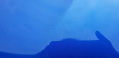 20180819_100155.webp