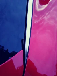 0826191951_Film1.webp