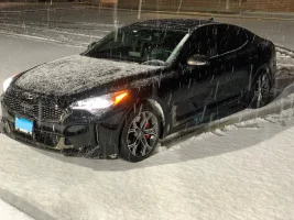 InkedStinger 3_LI.webp