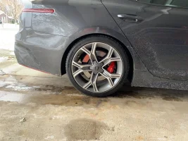 Eibach Springs Rear.webp
