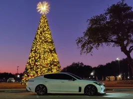 IMG_20191214_064029_Bokeh.webp