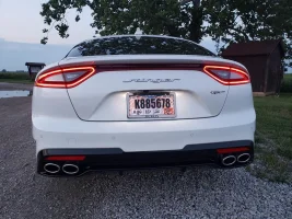 stinger_rear.webp