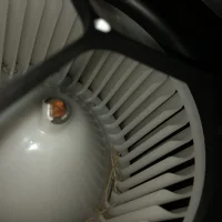 Fan.webp