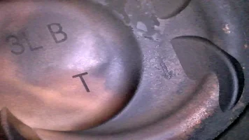 JPG00021.webp