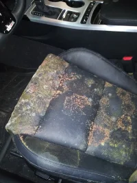 KIA Stinger Mold - Front Driver Seat.webp