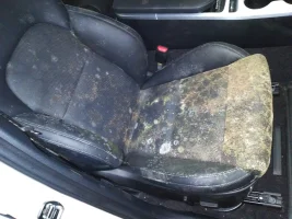 KIA Stinger Mold - Front Passenger Seat.webp