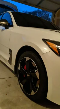 StingerWwinterTires.webp