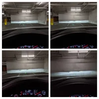 PXL_20210227_103801393-COLLAGE.webp