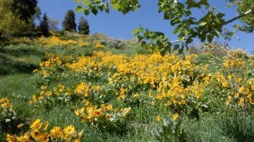 DSCF0738.webp
