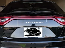 stinger.webp