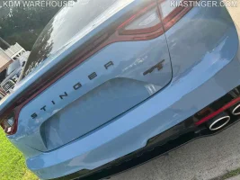 alternative-and-gt2-stinger.webp