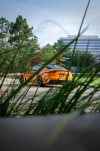 _DSC2351.webp