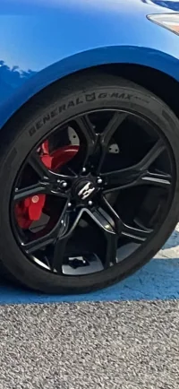 Front Rim.webp