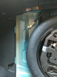 trunk.webp