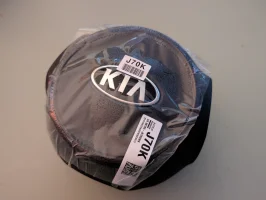 80100J5600WK Airbag.webp