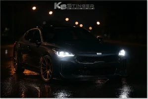 Stinger LED Headlights copy.webp