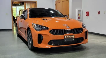 Stinger Ceramic .webp