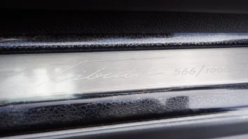 stinger tribute 566.webp