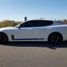 Stinger43