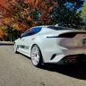 WildcatStinger