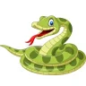 PythonNF