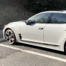 StingerNick