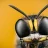The Wasp