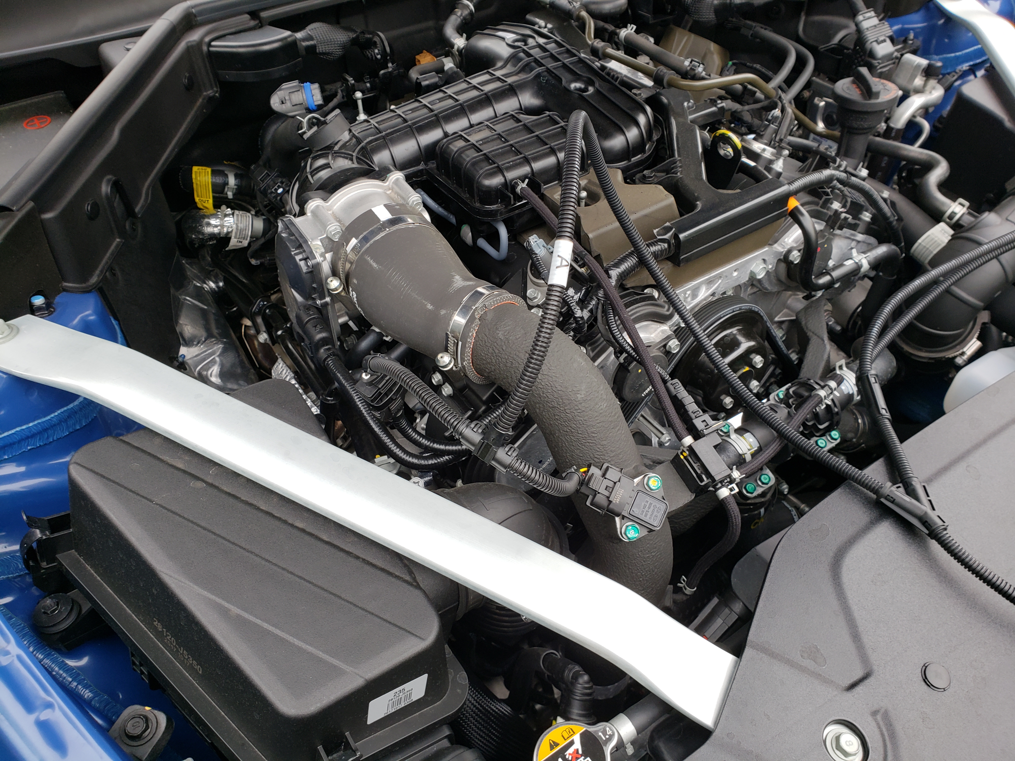 7df15000fd.jpg