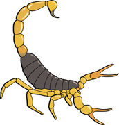 arthropods-clipart-4.jpg